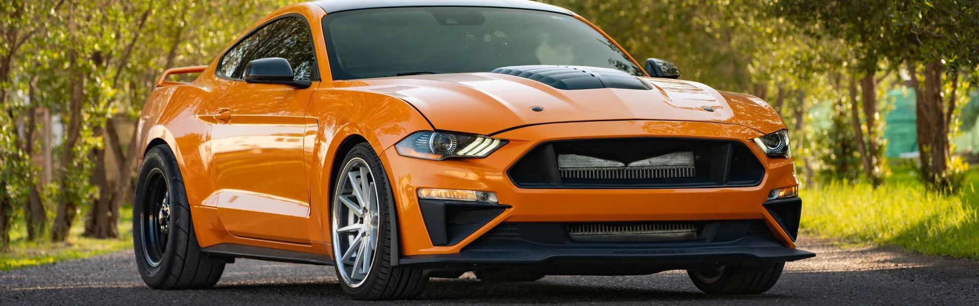 Enhance Your Ride | High-Performance Tires & Wheels with Duty-Free Shipping, Great Discounts